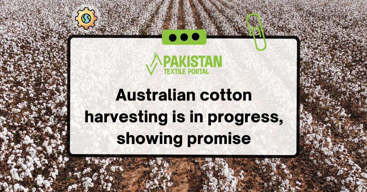 Australian cotton harvesting is in progress, showing promise