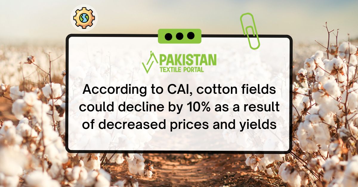 According to CAI, cotton fields could decline by 10% as a result of decreased prices and yields