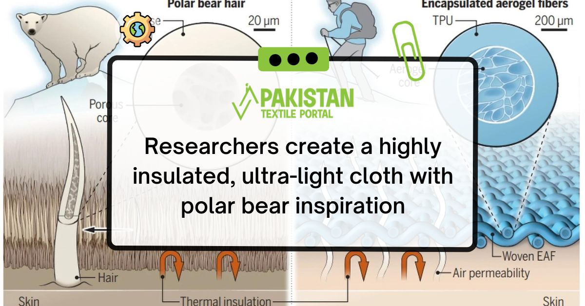 Researchers create a highly insulated, ultra-light cloth with polar bear inspiration