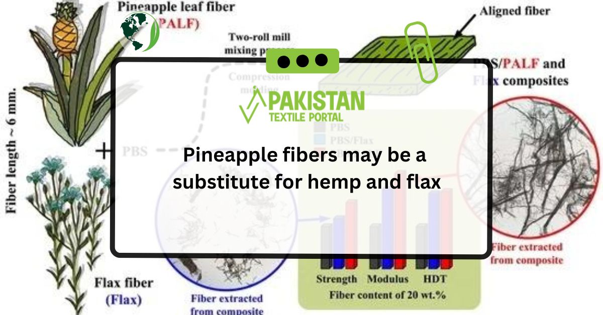 Pineapple fibres may be a substitute for hemp and flax