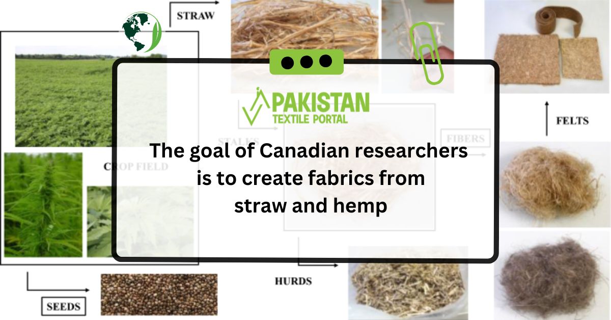 The goal of Canadian researchers is to create fabrics from straw and hemp